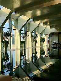 โรงแรม 🏨 หรูบนย่านธุรกิจแต่สงบและน่าพักผ่อน 
