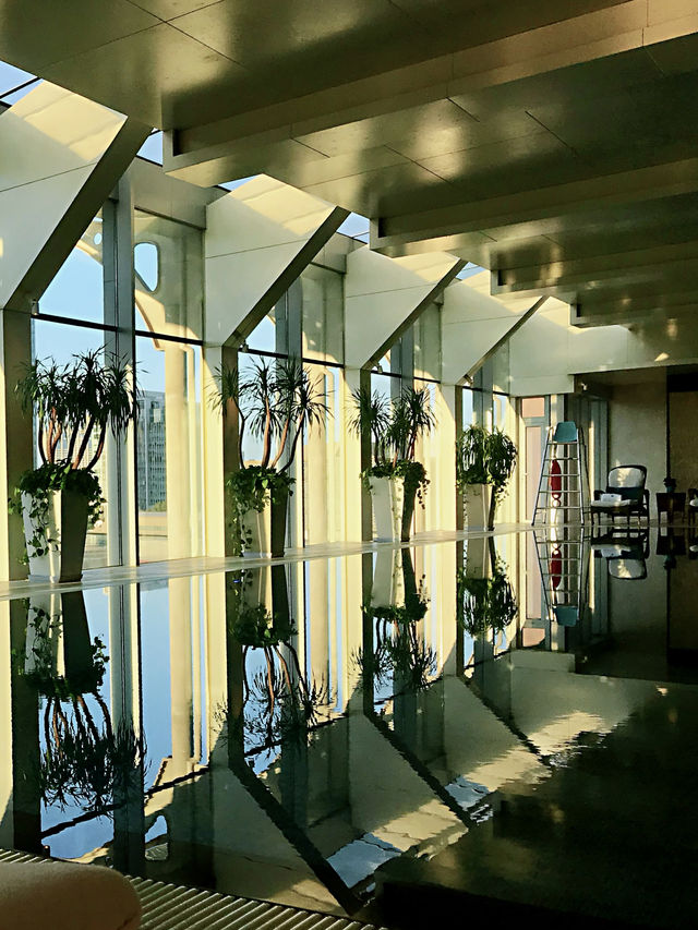 โรงแรม 🏨 หรูบนย่านธุรกิจแต่สงบและน่าพักผ่อน 