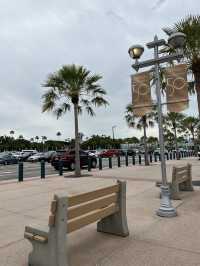 Disney World HollyWood Studio
