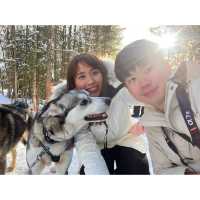憧憬的雪國:芬蘭 聖誕老人村