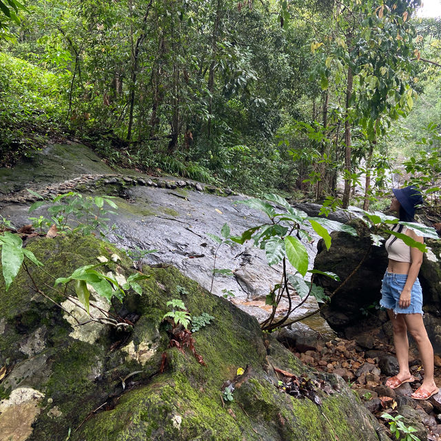 เที่ยวน้ำตกธารมะยม เกาะช้าง Kohchang🇹🇭🏝️🐘