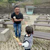 清境除了看羊🐑路途還有美食「清境沐四季景觀餐廳」被壯闊的山巒環抱⛰️ 徜徉在大自然的調色盤🌄 