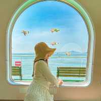 서울근교 당일치기로 다녀오기 넘 좋은 신시모도🏝️