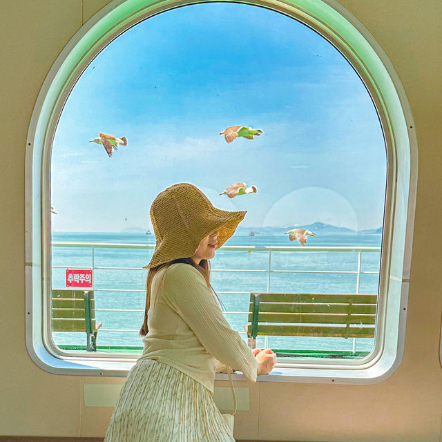 서울근교 당일치기로 다녀오기 넘 좋은 신시모도🏝️