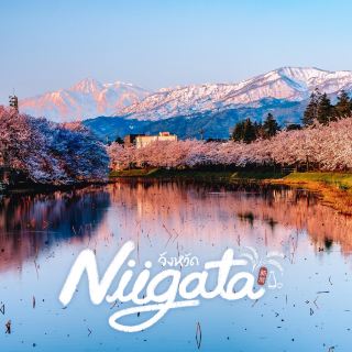 佐渡島木盆舟之旅
