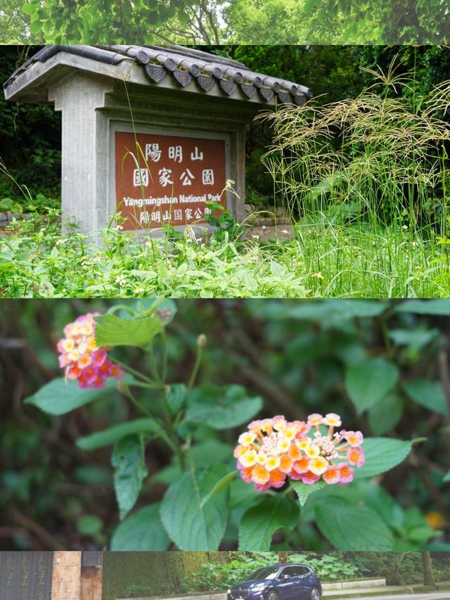 陽明山國家公園～一場自然與文化的盛宴🏡