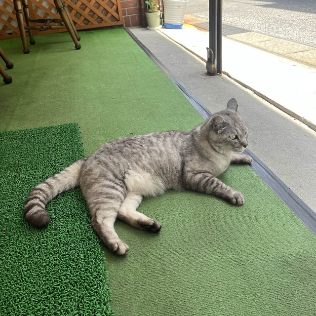 【群馬🐴】伊香保石段街で大人が遊べるゲームスポット🏹