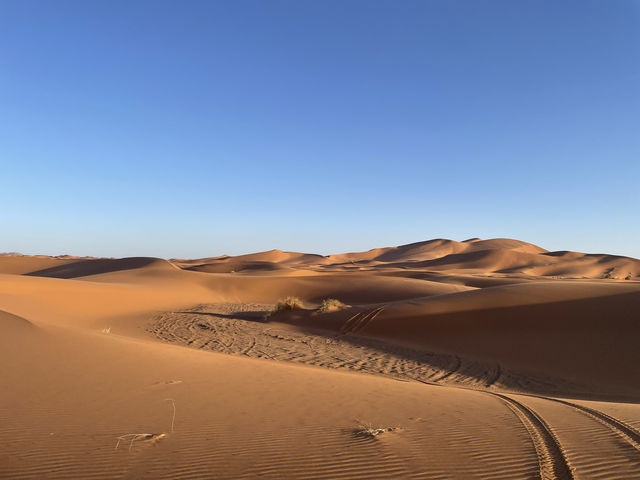 【モロッコ】世界最大級の砂漠"Sahara Desert"