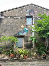 😀Yala Bird City Street Art