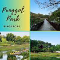 Connecting with Nature: Punggol Park Connector Delight