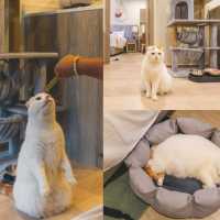  Staybridge Suites Bangkok Sukhumvit