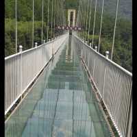 LIFE TIME EXPERIENCE (Glass Bridge)