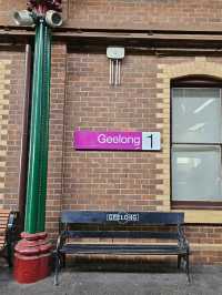 멜버른 🇦🇺 트레인 타고 가는 근교 해변도시 geelong