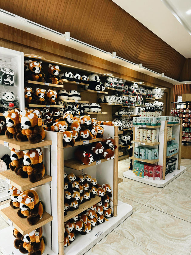 A must in Chengdu!  Chengdu main’s attractions! 🐼 Giant Panda Base 