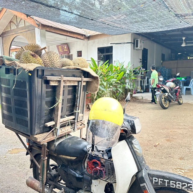 檳城之行:一段充滿人情味之旅行 檳城之行:一段充滿人情味之旅行