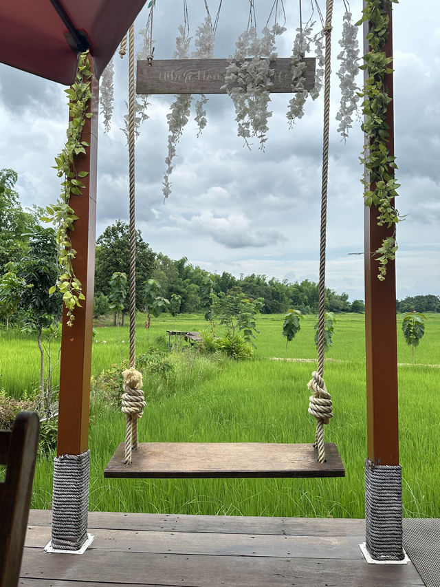 แจกพิกัดคาเฟ่กลางนา แวะ นอน เว็นคาเฟ่กลางนา สกลนคร
