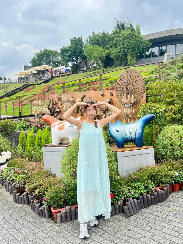 【台北】纜車上360度欣賞市景