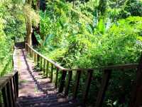 รีวิว ถ้ำธารลอดใหญ่ ⛰️(เดินป่าเข้าหาธรรมชาติ)