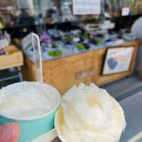 Fukuoka Selfdrive Fruit Farm & Mount Aso Summer Trip