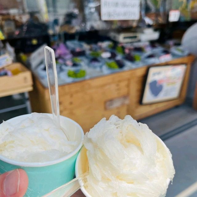 Fukuoka Selfdrive Fruit Farm & Mount Aso Summer Trip