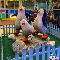 Family Fun on Ice: Discover Icescape IOI