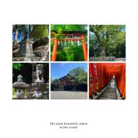 大國主神社⚜️祥和寶地