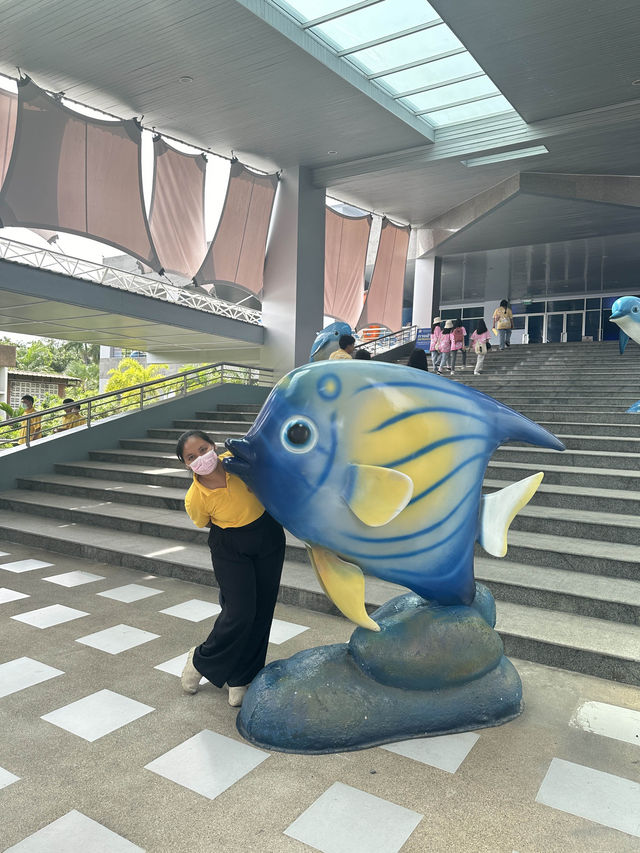 บางแสน อวาเรียม โซนใหม่ ว้าวมาก 🐠🪼✨