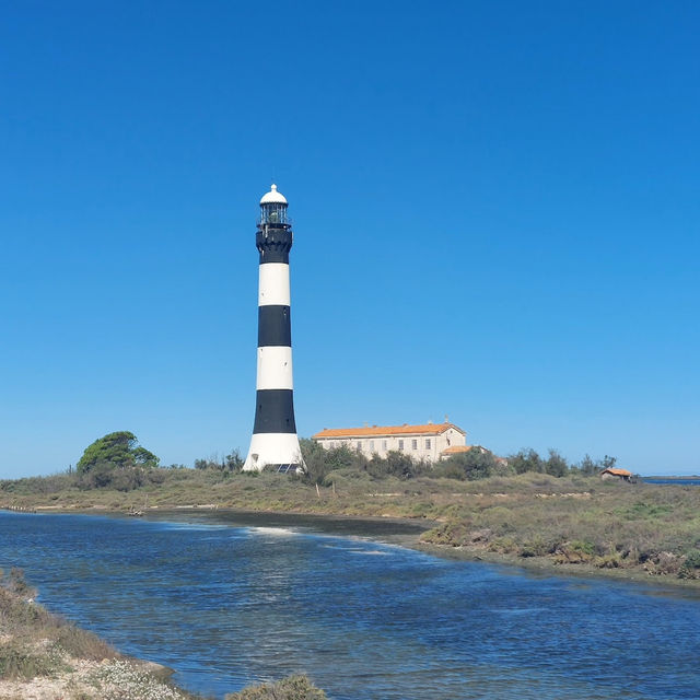 Discover the Untamed Beauty of the Camargue - France’s Wild Heart of Flamingos, Horses