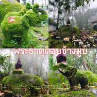 พระธาตุดอยช้างมูบ