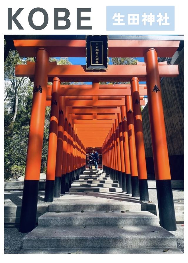 【兵庫/神戸】縁結びのご利益で有名な神社