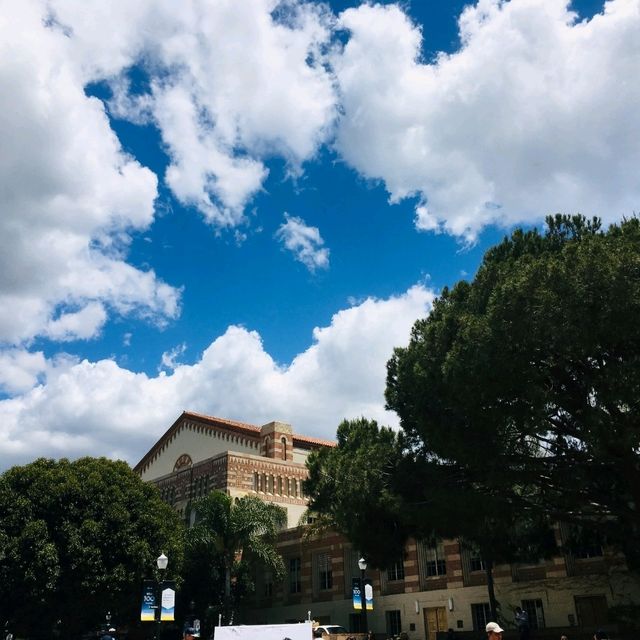 미국의 캠퍼스 생활을 느낄 수있는 , UCLA 대학교🏫