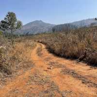 Pedal Through Wildlife in Eswatini’s Best-Kept Secret