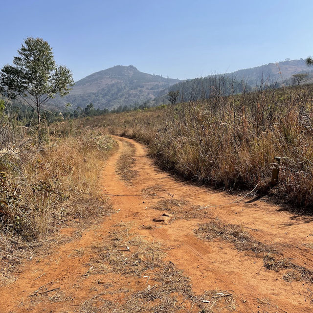 Pedal Through Wildlife in Eswatini’s Best-Kept Secret