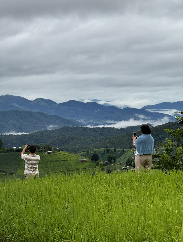 ที่พักป่าบงเปียง | จ.เชียงใหม่ 🏡⛰️🌾🌧️