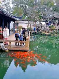 EXPLORING THE CHARMING TONGLI