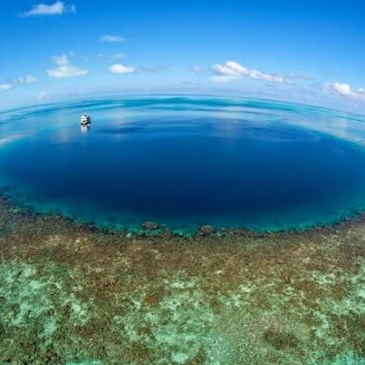 #Tháng 8 năm 2024
Hố xanh lớn
   Nước ở Great Blue Hole đẹp đến mức không thể diễn tả được! Khi lặn biển ở đây, bạn có thể nhìn thấy rất nhiều loài cá dễ thương, cảm giác như đang bước vào thế giới cổ tích dưới nước. Màu nước đẹp quá, thực sự tuyệt vời. Mỗi lần bơi ở đây, tôi đều cảm thấy vô cùng hạnh phúc. Đây thực sự là nơi mà tôi sẽ không bao giờ quên!