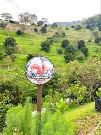 Exploring Bentong Farm: A Nature Lover’s Paradise