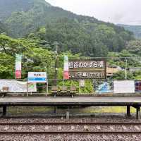 四國漫遊之旅