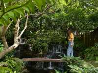 Oasis ใจกลางเมืองระยอง B‘forest Cafe Rayong 🍃
