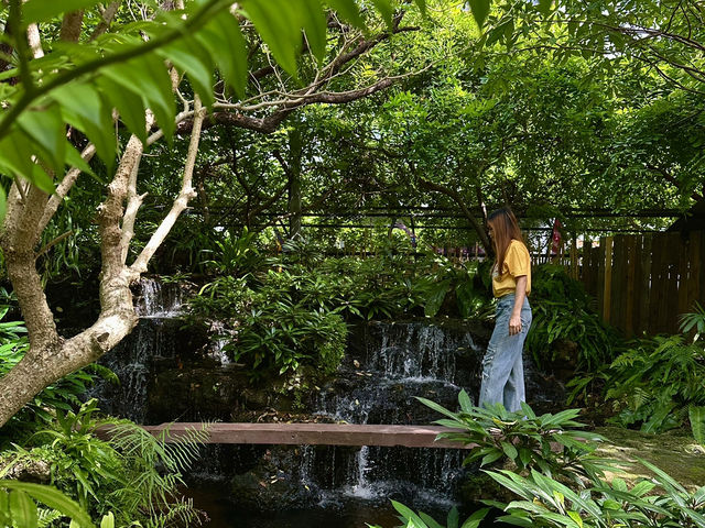 Oasis ใจกลางเมืองระยอง B‘forest Cafe Rayong 🍃