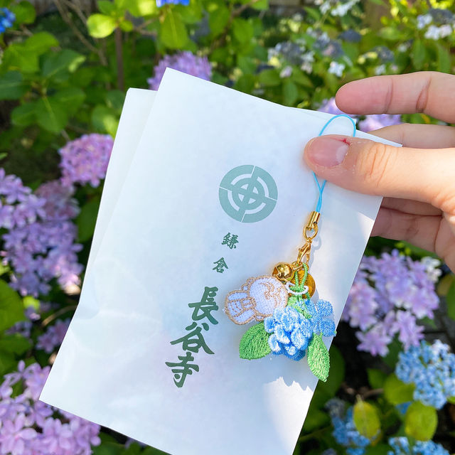 東京旅遊🍀鎌倉一日遊！長谷寺繡球花之旅