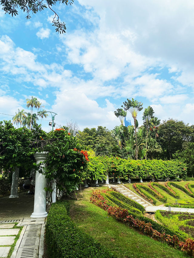 Enjoy the hot weather in the KL garden 🏡🏡