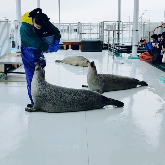 🚢 【北海道紋別破冰船】冬季探險，絕佳體驗！ ❄️