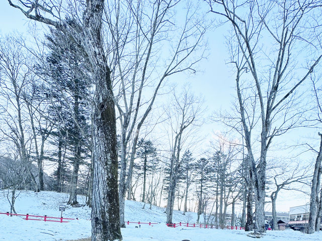 冰雪覆蓋下的日光市景與華嚴瀑布的藍冰之美