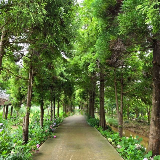 산책로가 아름다운 청산수목원