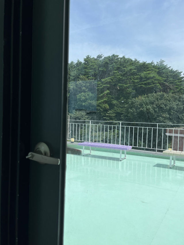 🐶🎶강원도 고성 카페&와인 편집숍 - 피치비치