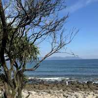 塔門輕鬆半日遊 有山有海治癒行 詳細交通資訊