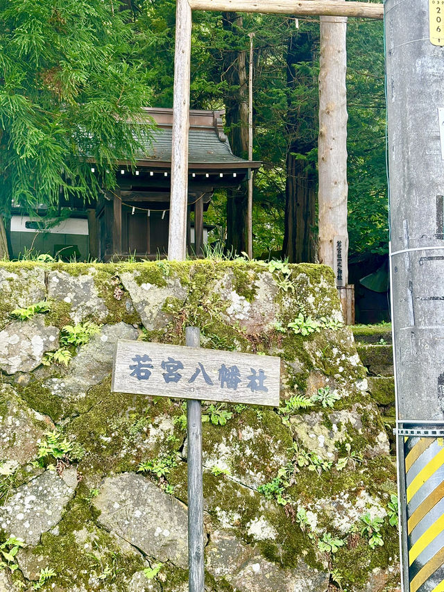 🇯🇵若宮八幡社