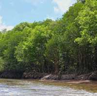 A wander to nature, Mangrove River at Kilim Geoforest Park