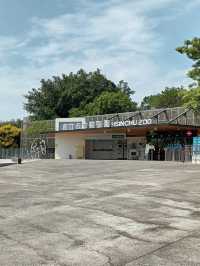 Fun time with Animal at the Zoo in Hsinchu 